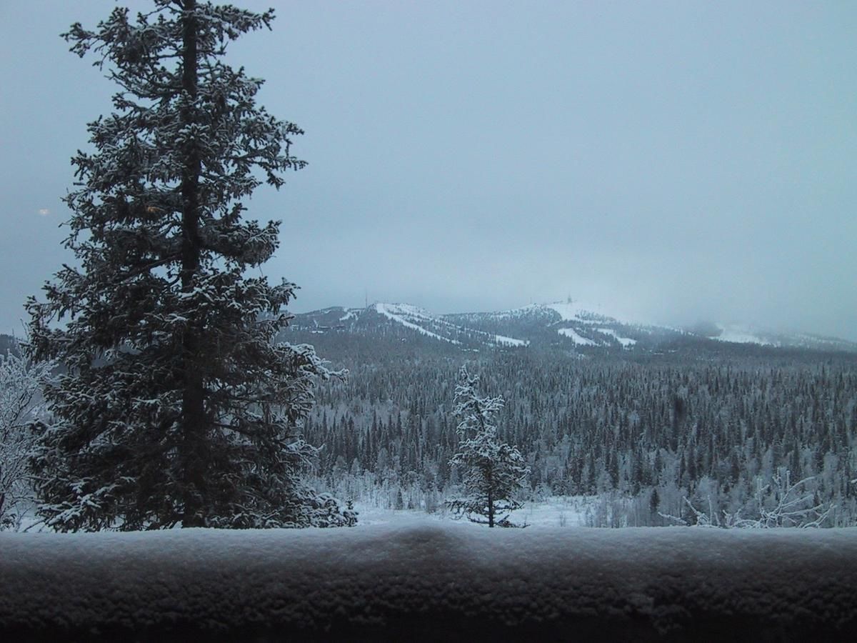 Дома для отпуска Rukajärven Kelopirtit Cottages Рука