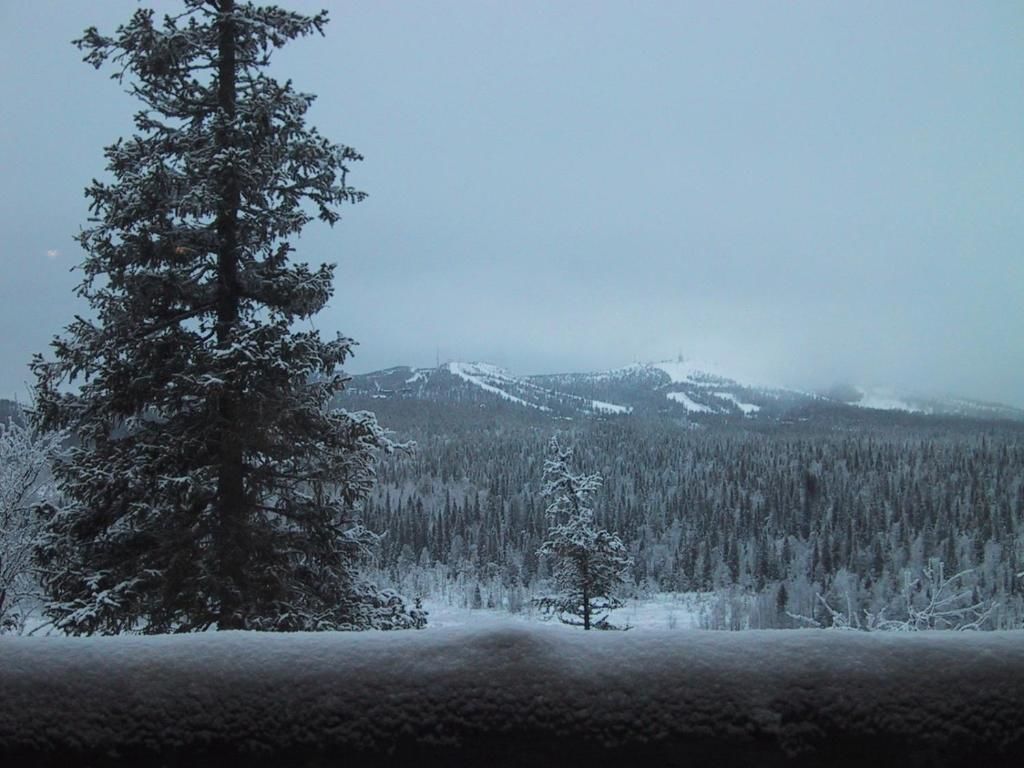 Дома для отпуска Rukajärven Kelopirtit Cottages Рука