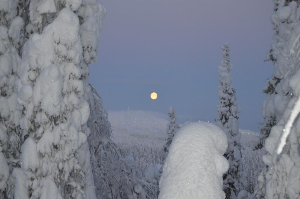 Дома для отпуска Rukajärven Kelopirtit Cottages Рука