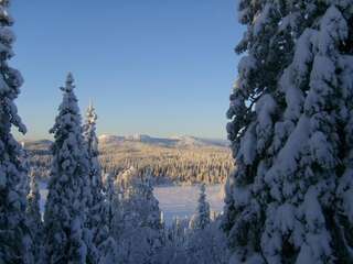 Дома для отпуска Rukajärven Kelopirtit Cottages Рука Коттедж с 5 спальнями и сауной-21