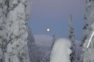 Дома для отпуска Rukajärven Kelopirtit Cottages Рука Коттедж с 5 спальнями и сауной-4
