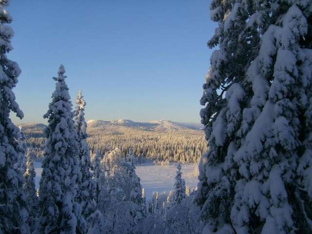 Дома для отпуска Rukajärven Kelopirtit Cottages Рука-42