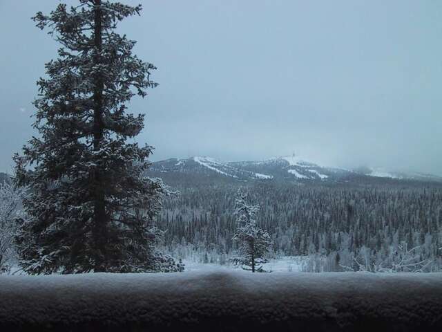 Дома для отпуска Rukajärven Kelopirtit Cottages Рука-43